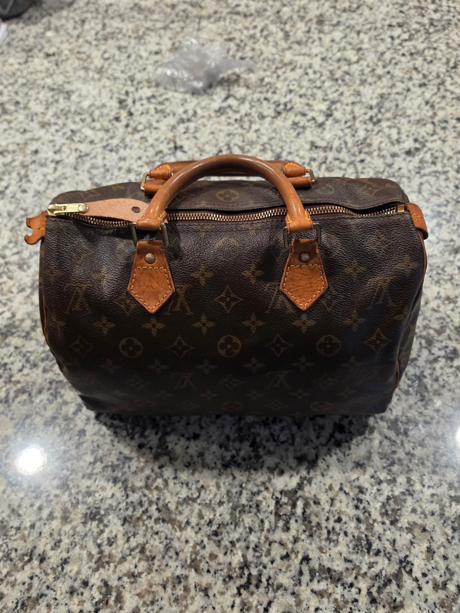 Louis Vuitton Monogram Speedy Bag