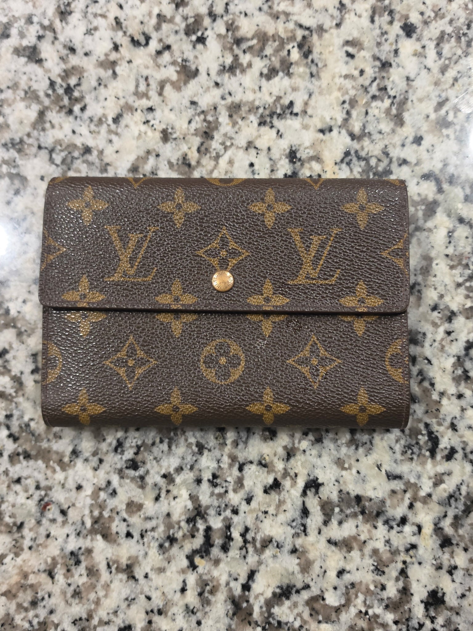 Louis Vuitton Monogram Small Wallet